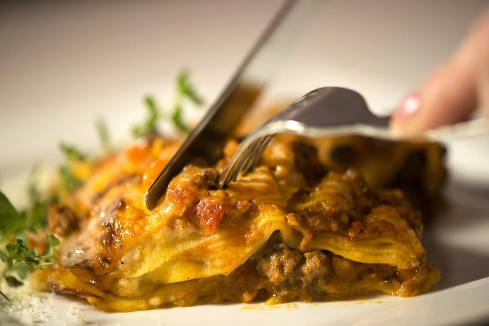 Porzione di vincisgrassi alla maceratese al forno, con strati di sfoglia all'uovo e ragù